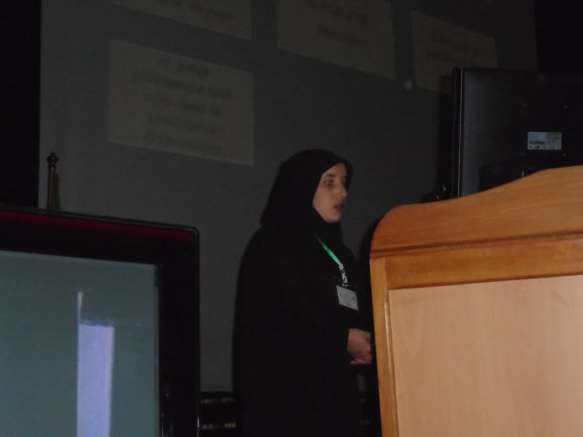 DSC07881