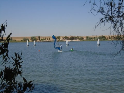 DSC00111 w480